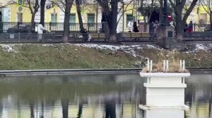 🦢Лебедей на Патриарших прудах увезли на зимовку в Подмосковный питомник🦢