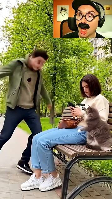 Неприветливая кошка смотреть онлайн