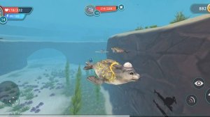 снова вместе!!!