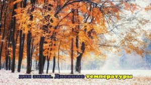 Синоптик Позднякова: Москвичей ждет осенне-зимняя погода