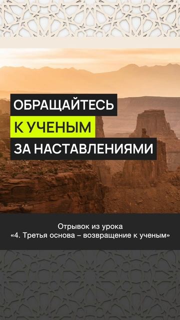 Обращайтесь к учёным за наставлениями || Марсэль абу Али #ислам #коран #сунна