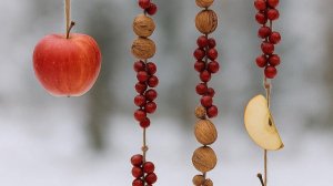 КАК УКРАСИТЬ ДАЧНЫЙ УЧАСТОК К НОВОМУ ГОДУ.