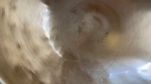 Кованая поющая чаша 21.1см, нота Соль#3 211гц Pr166