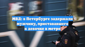 МВД: в Петербурге задержали мужчину, пристававшего к девочке в метро