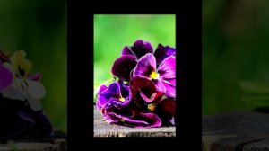 Moments Of Life 246 (Psy Dub Mix)