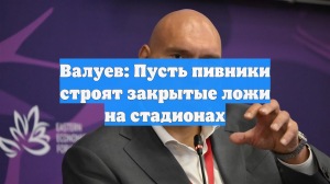 Валуев: Пусть пивники строят закрытые ложи на стадионах