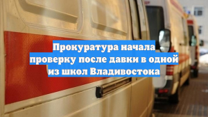 Прокуратура начала проверку после давки в одной из школ Владивостока