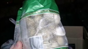 Как я зарабатываю лазая по мусоркам Питера? Dumpster Diving