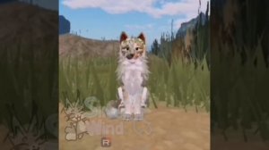 Эдит Овсянке на 31 подписчика, спасибо вам, ребята! :3