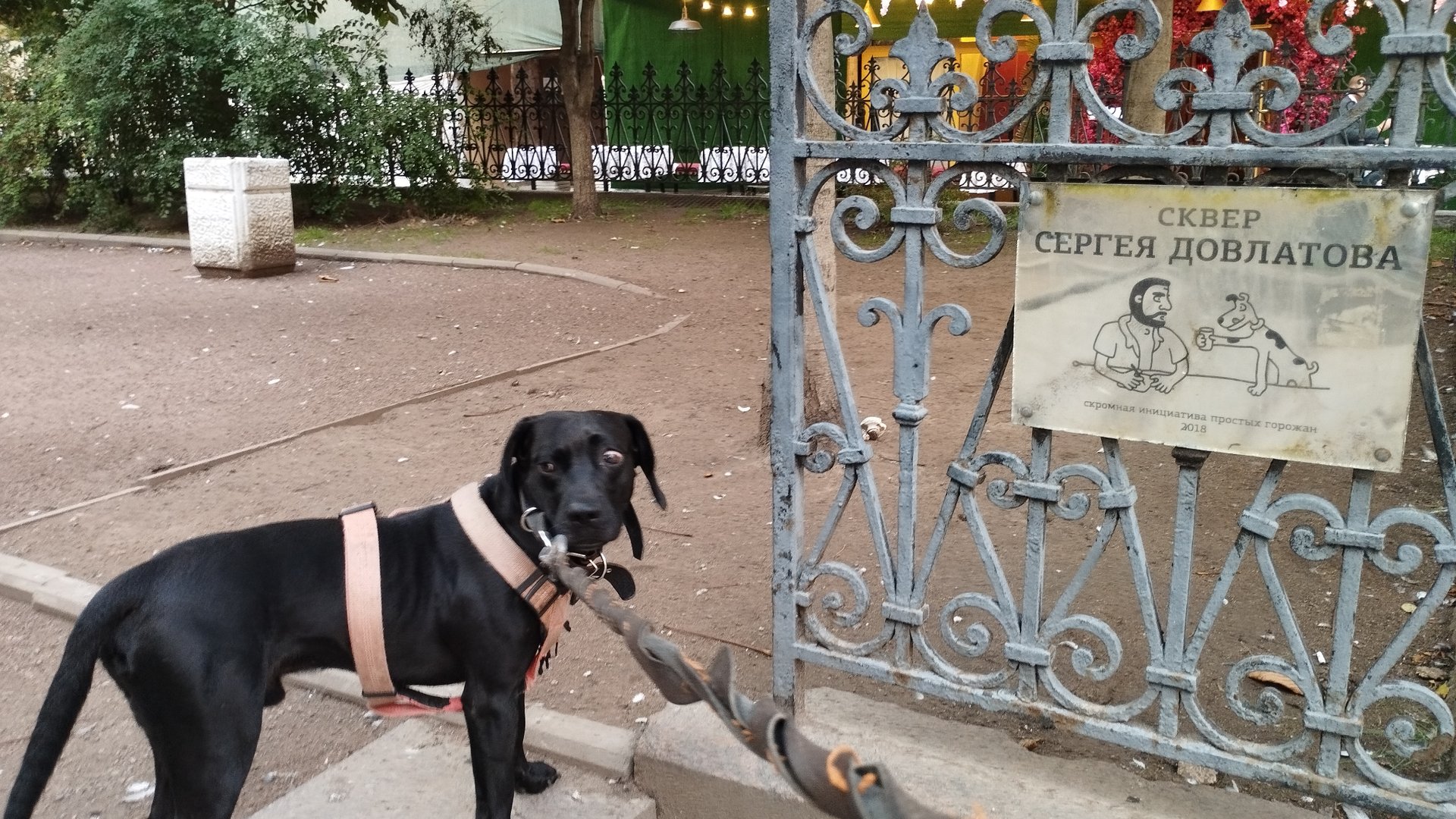 ДеньД @ Сергей Довлатов @ Авторадио @ Волонтеры @ Жил Был Пёс @ Моя Жизнь Кино @ Музей Псов смотреть онлайн