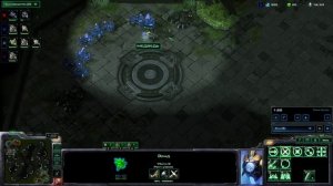 SC2 Медведь+Стик 2х2