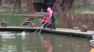 Поимки  до и после зарыбления.