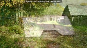 ДЕРЕВНЯ СОРОКИНО-ЖУКИ Пушкиногорский район