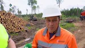 Пусть меня научат. Лесозаготовка. 10.11.2025