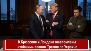 В Брюсселе и Лондоне ошеломлены «тайным» планом Трампа по Украине