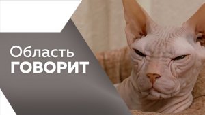 Область говорит №223