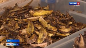 В Крыму растёт интерес к пешему туризму, рыбалке и тихой охоте