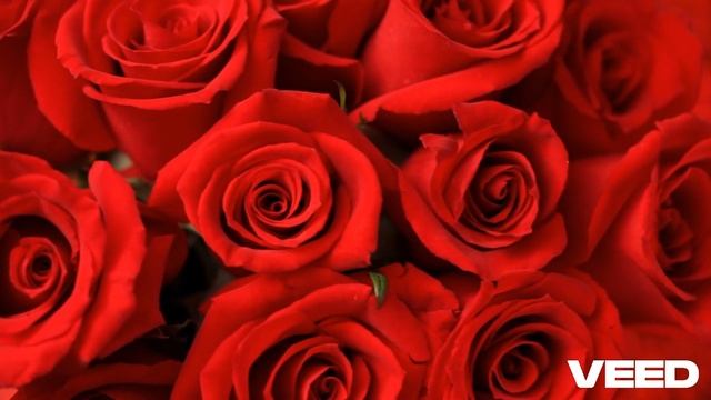 BallaDonna - Сердце мое в огне