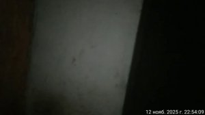 12.11.2025 музыка ночью кв4. Результат деятельности полиции. Оренбург.