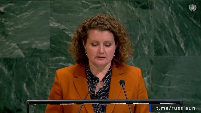 А.М.Евстигнеева в ООН по теме «Использование вето в Совете Безопасности», Нью-Йорк, 20 ноября 2025