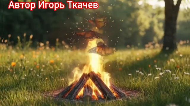 Песни. ОГОНЬ И БАБОЧКИ