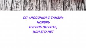 СП «Носочки с Таней» ноябрь. Сугроб он есть или его нет