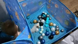 С днём рождения, мой принц 👑 Старшему сыночку 7 лет 🥳