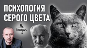 Как серый цвет научит мыслить и быть собой. А вы любите носить серый? Феноменальная психология цвета