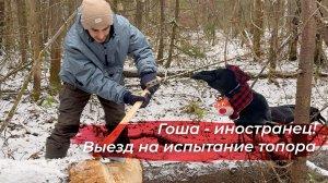 Гуляем с Гошей в лесу и тестирую новый топор