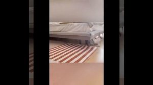 Видео от МЯУтаверс – как метавселенная, но с котами