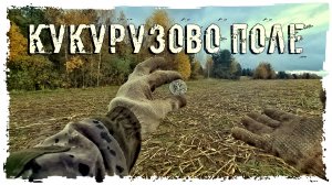 ПОИСКИ КЛАДОВ "КУКУРУЗОВО ПОЛЕ "