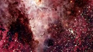 Всё, что нам нужно - это любовь!