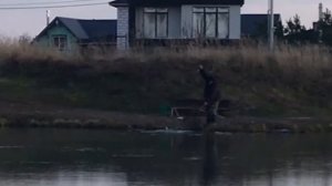 поимка форели