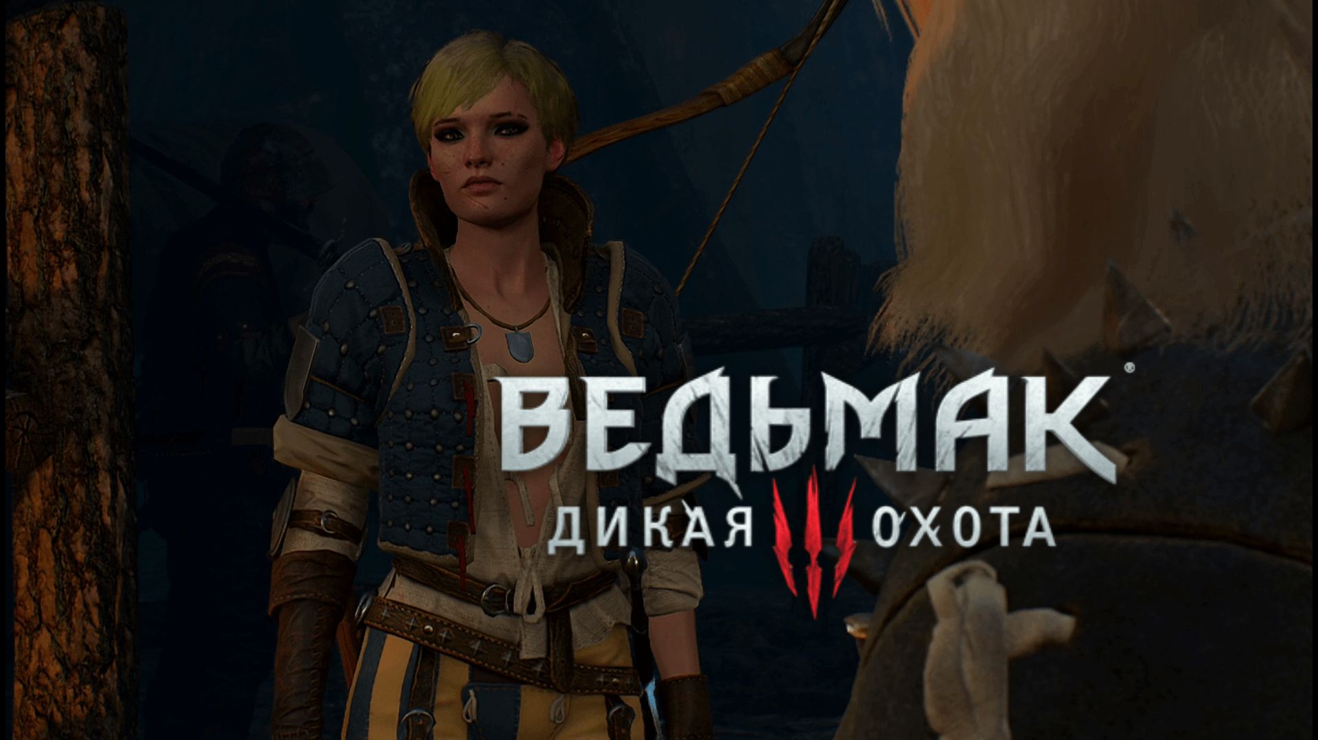 Командир "Синих полосок":)►Ведьмак 3 #41