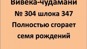 ВивекаЧудамани курс Свамини Видьянанды Сарасвати 304 шлока 347 Полностью сгорает семя рождений