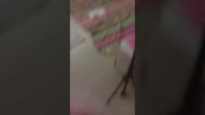 вызываем гномика