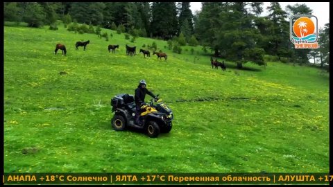 прямой эфир