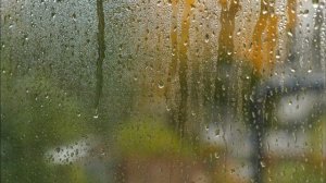 Звуки дождя