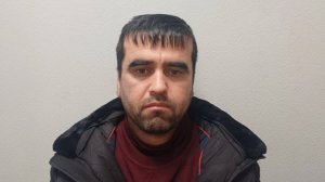 Задержан мужчина, пристававший к девочке в метро Петербурга