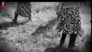 Время выбрало нас команда Соседи