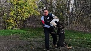 Баларис ЮСТ ВАН, 1 год 10 месяцев. Зубило!