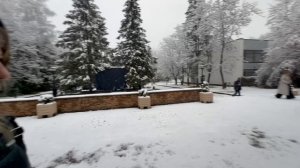 В Мытищах 15-11-2025