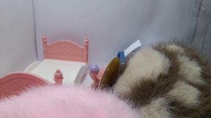 lps фильм хочу лапку