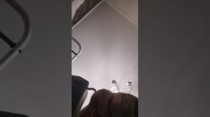 обыскиваю дом.