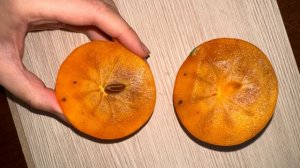 Вихревая физика на фруктах. Обучение с Александром Мишиным