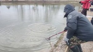 WhatsApp Video 2025-11-20 at 10.13.30