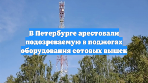 В Петербурге арестовали подозреваемую в поджогах оборудования сотовых вышек