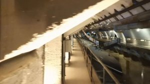 Бывшая сверхсекретная база подводных лодок в Балаклаве.