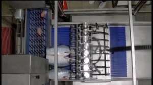 Нарезка стейков на автоматической пиле Mainali