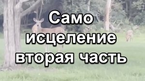 Само исцеление - вторая часть